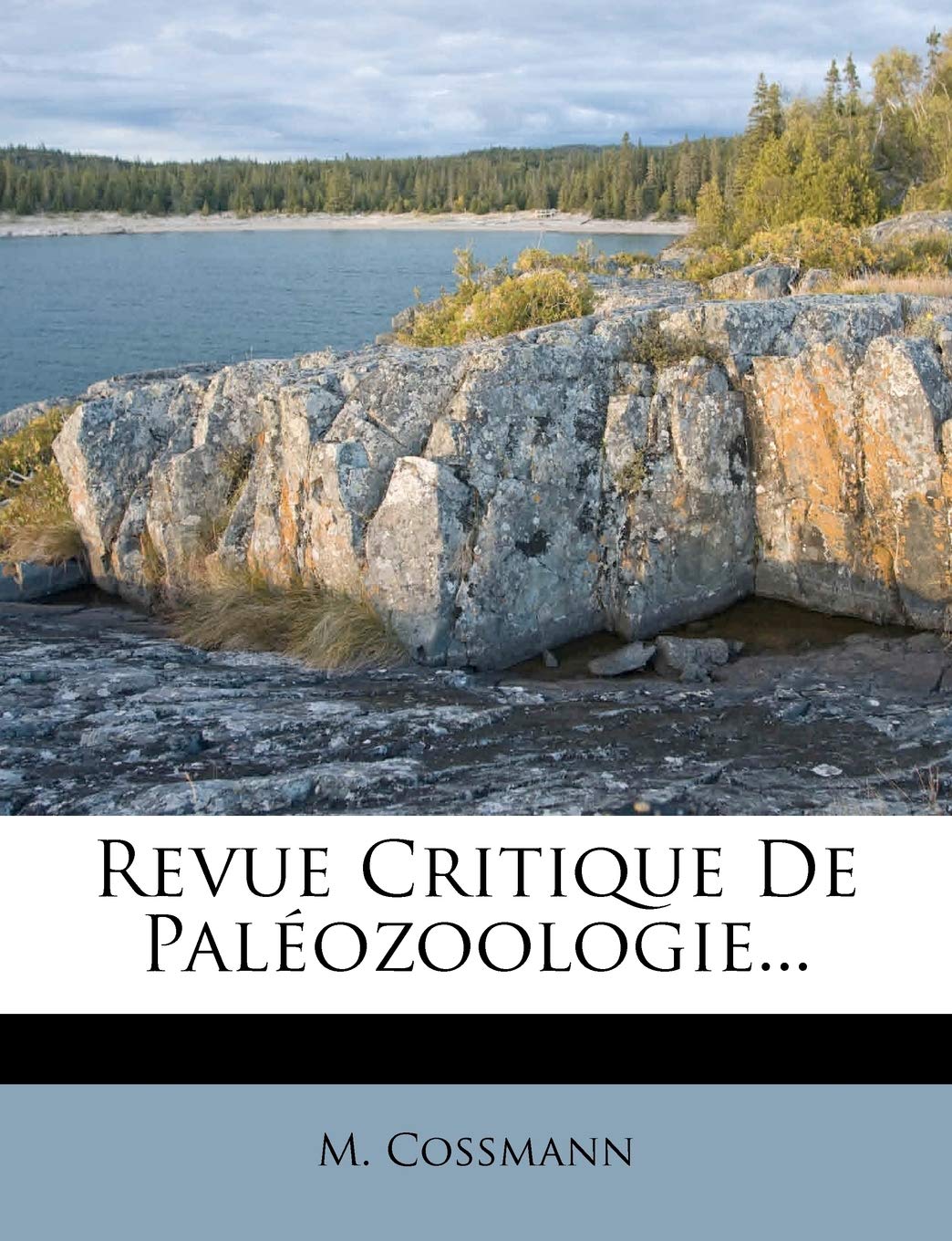 Revue Critique De Paléozoologie... book