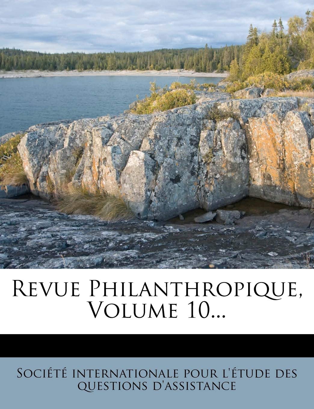 Revue Philanthropique, Volume 10... book