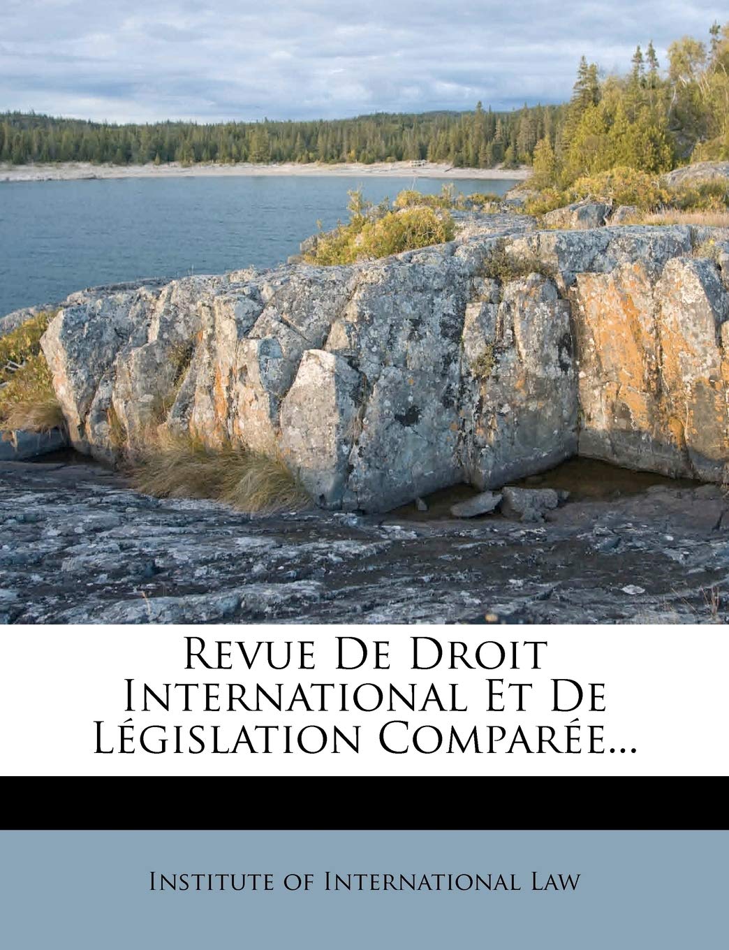Revue De Droit International Et De Législation Comparée... book