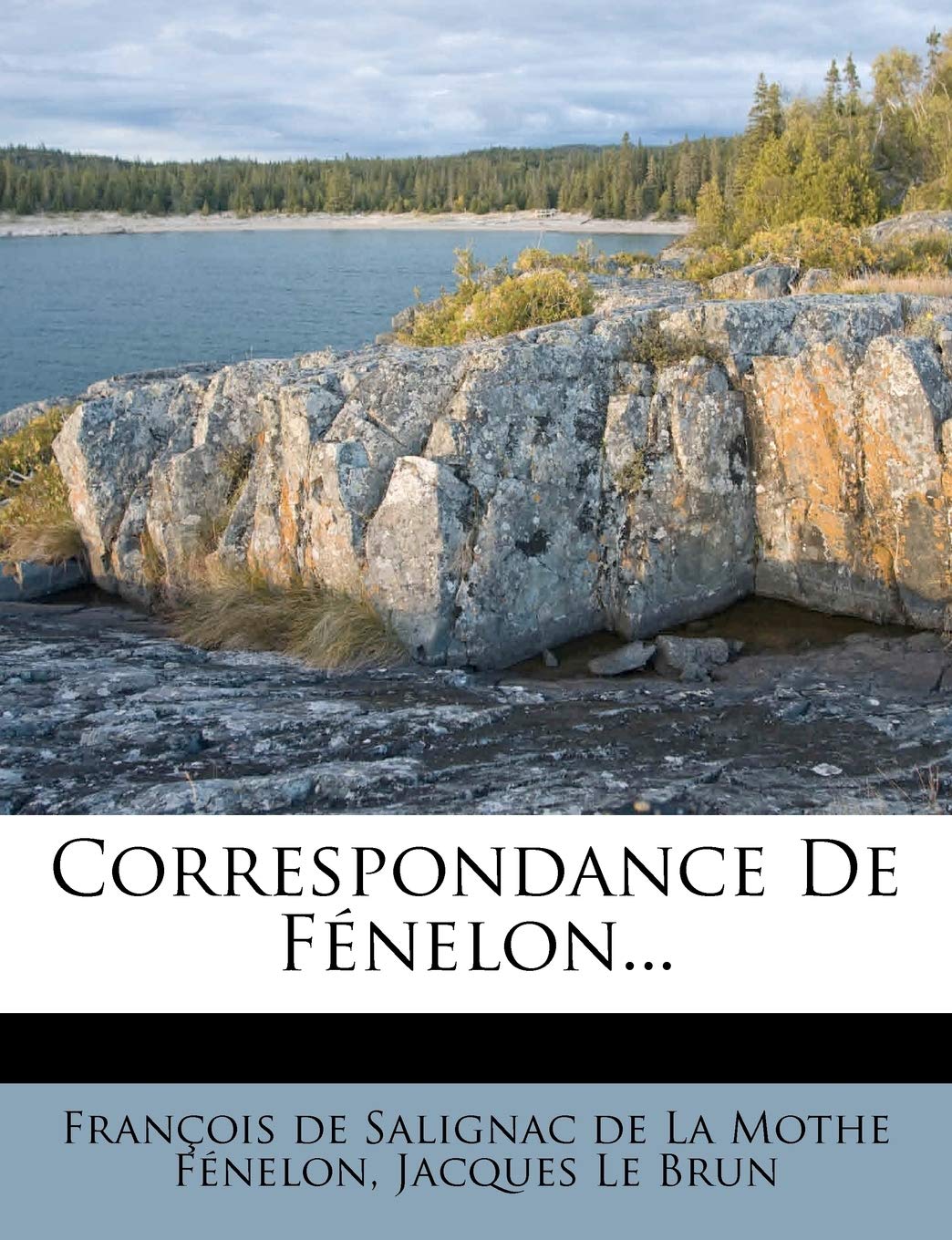 Correspondance de Fenelon... book