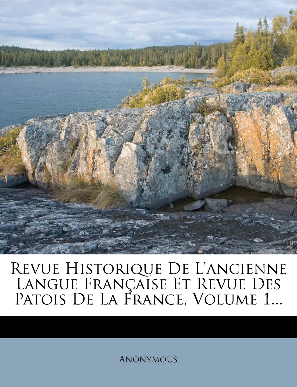 Revue Historique De L'ancienne Langue Française Et Revue Des Patois De La France, Volume 1... book