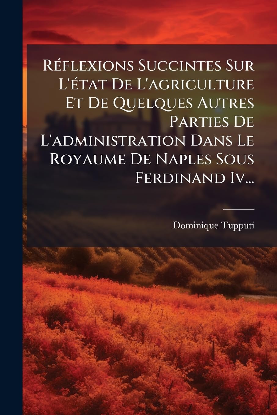 Réflexions Succintes Sur L'état De L'agriculture Et De Quelques Autres Parties De L'administration Dans Le Royaume De Naples Sous Ferdinand Iv... book