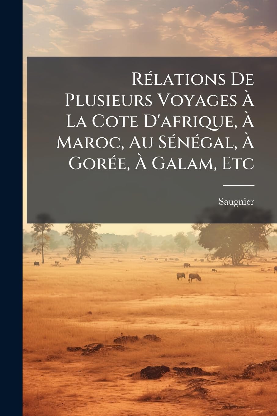 Rélations De Plusieurs Voyages À La Cote D'afrique, À Maroc, Au Sénégal, À Gorée, À Galam, Etc: Avec Des Détails Intéressans Pour Ceux Qui Se ... Des Nègres, De L'or, De L'ivoire, Etc... book
