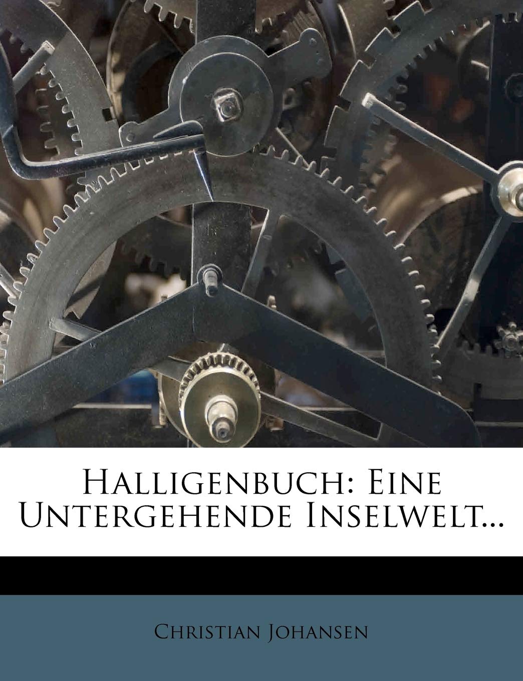 Halligenbuch: Eine Untergehende Inselwelt... Politics & History