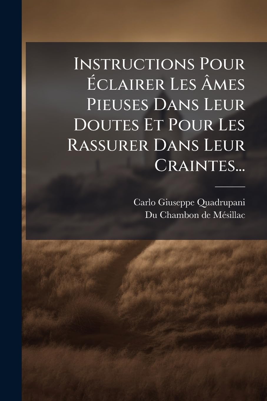 Instructions Pour Éclairer Les Âmes Pieuses Dans Leur Doutes Et Pour Les Rassurer Dans Leur Craintes... book