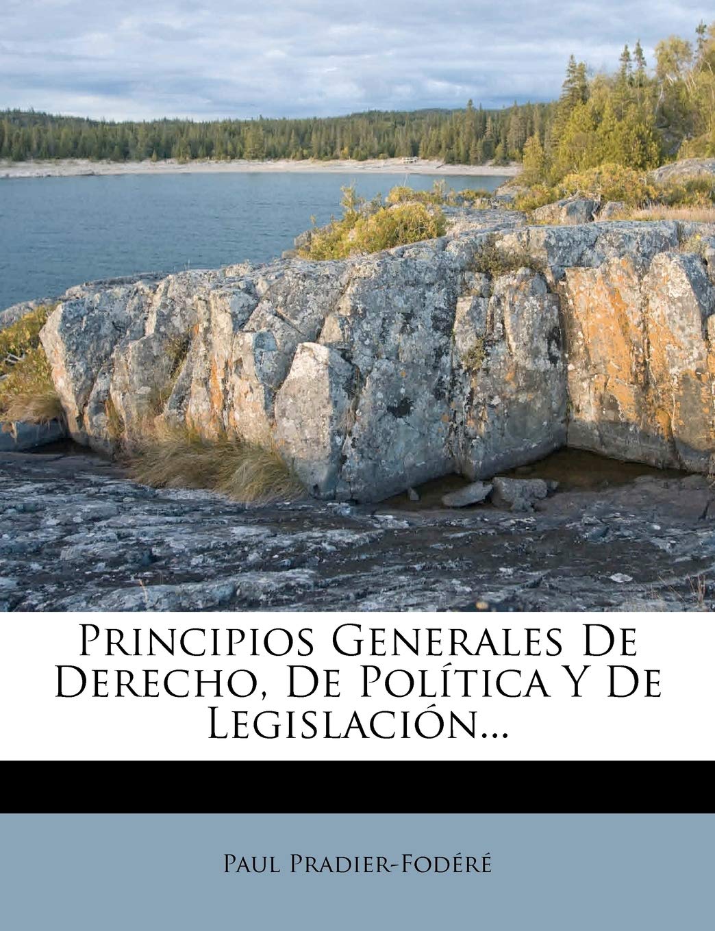 Principios Generales De Derecho, De Política Y De Legislación... Law