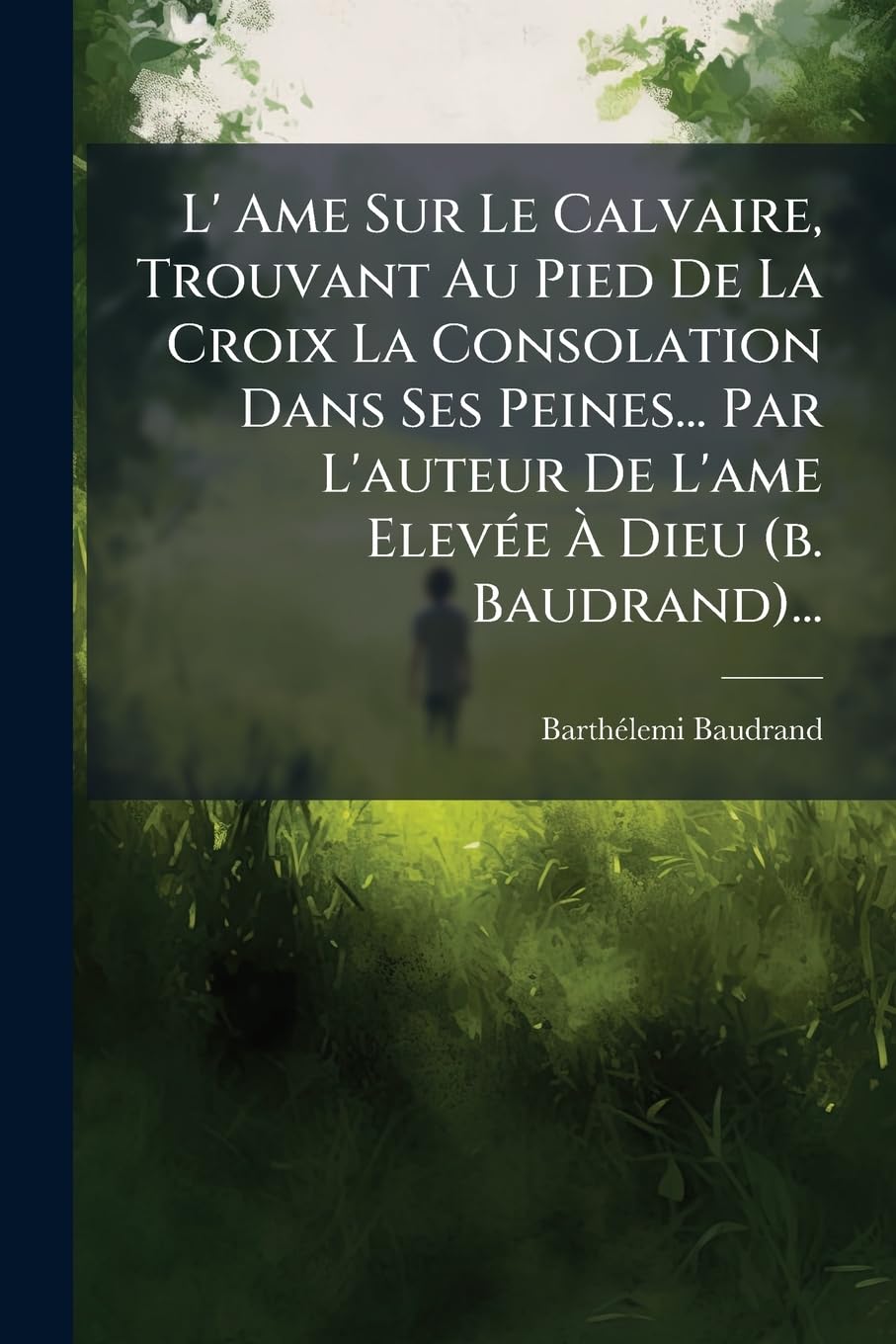 L' Ame Sur Le Calvaire, Trouvant Au Pied De La Croix La Consolation Dans Ses Peines... Par L'auteur De L'ame Elevée À Dieu (b. Baudrand)... book