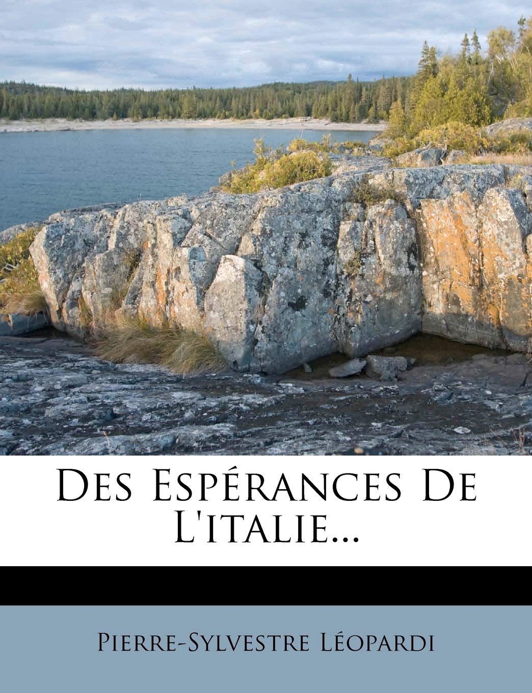Des Espérances de l'Italie... book