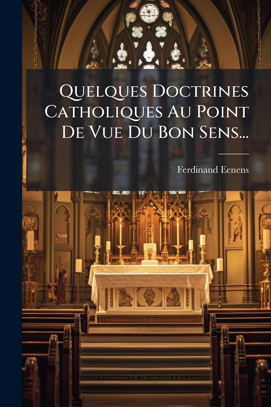 Quelques Doctrines Catholiques Au Point De Vue Du Bon Sens... book