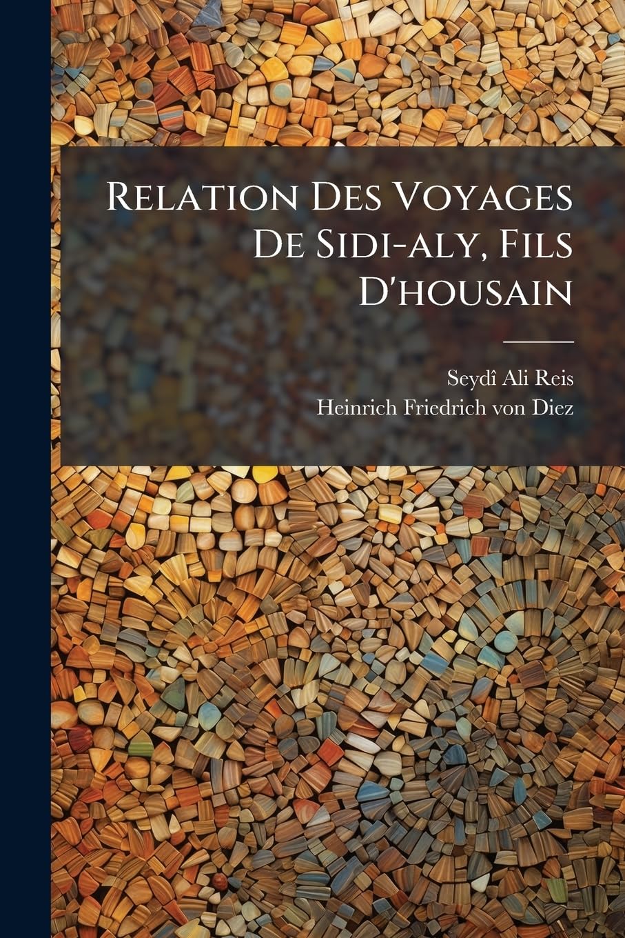 Relation Des Voyages De Sidi-aly, Fils D'housain: Nommé Ordinairement Katibi Roumi, Amiral De Soliman Ii, Écrite En Turk, Traduite De L'allemand, Sur La Version De M. De Diez... book