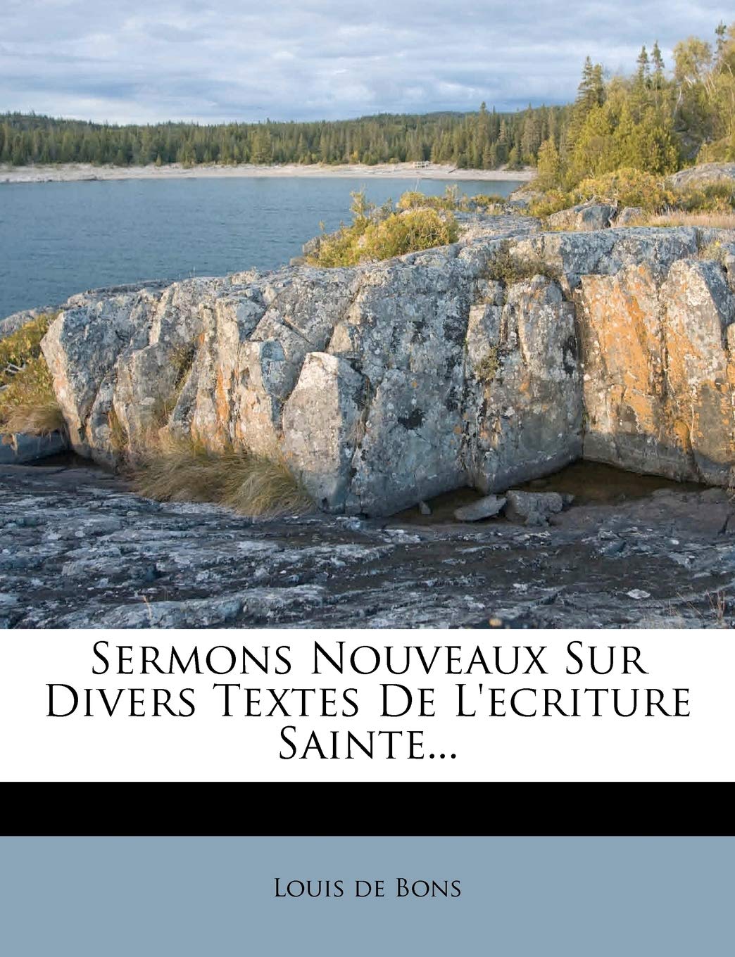 Sermons Nouveaux Sur Divers Textes de l'Ecriture Sainte... book