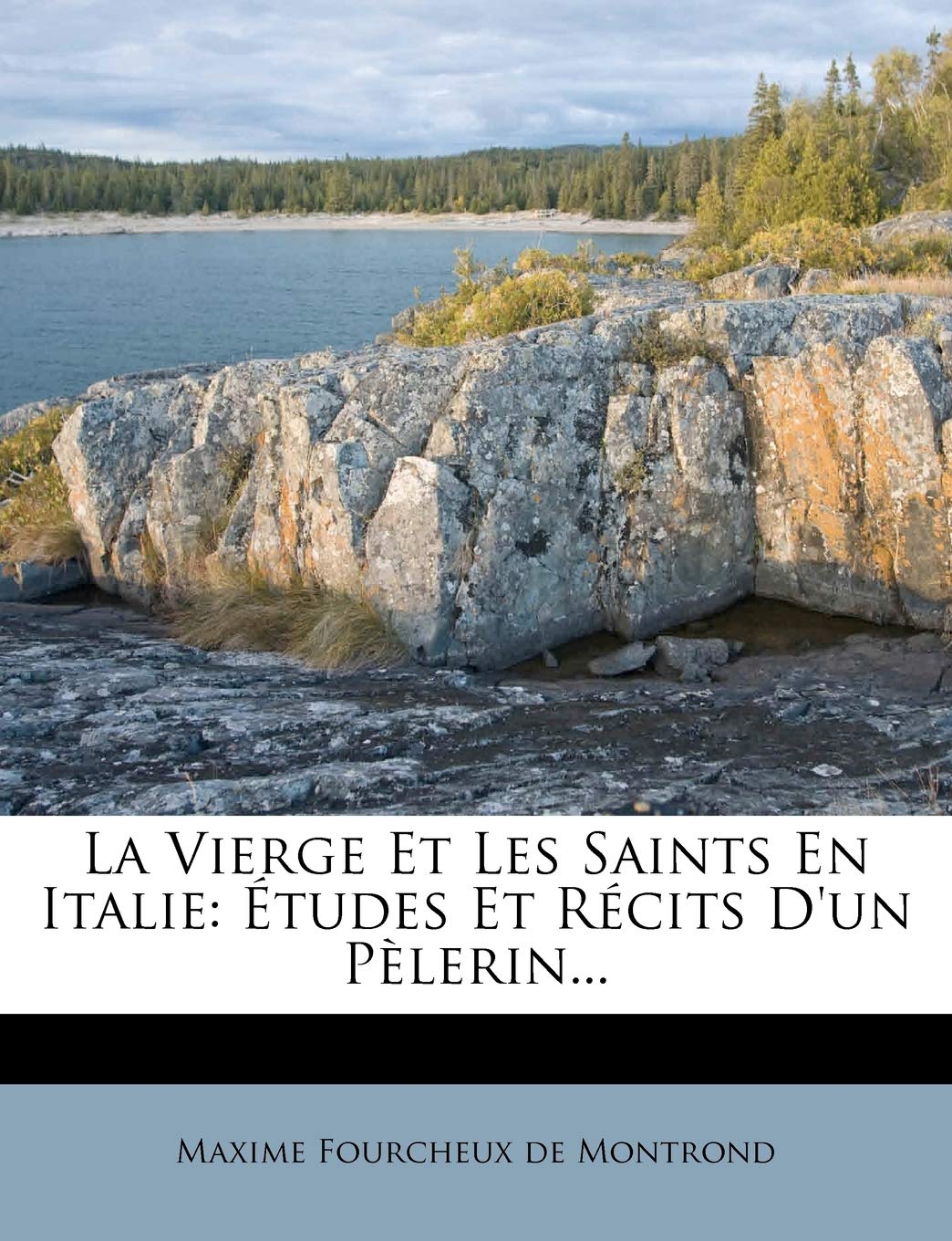 La Vierge Et Les Saints En Italie: Études Et Récits D'un Pèlerin... book