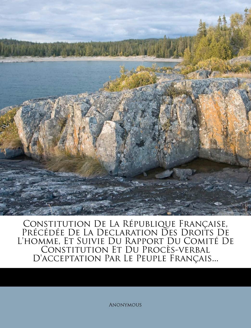Constitution De La République Française, Précédée De La Declaration Des Droits De L'homme, Et Sui... book