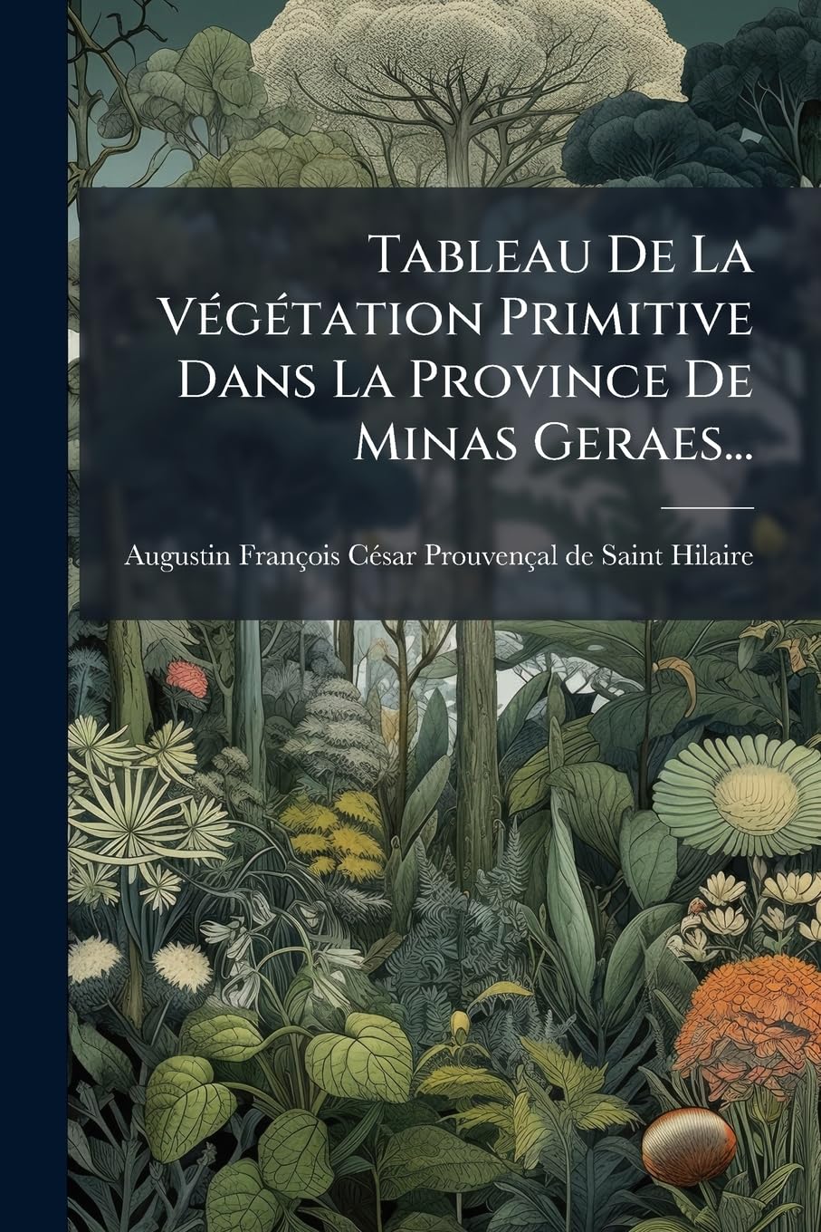 Tableau De La Végétation Primitive Dans La Province De Minas Geraes... book