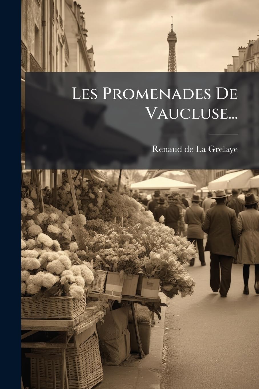 Les Promenades De Vaucluse... book