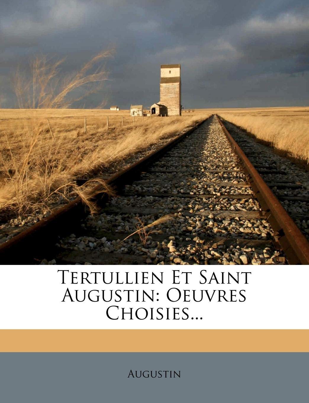 Tertullien Et Saint Augustin: Oeuvres Choisies... book