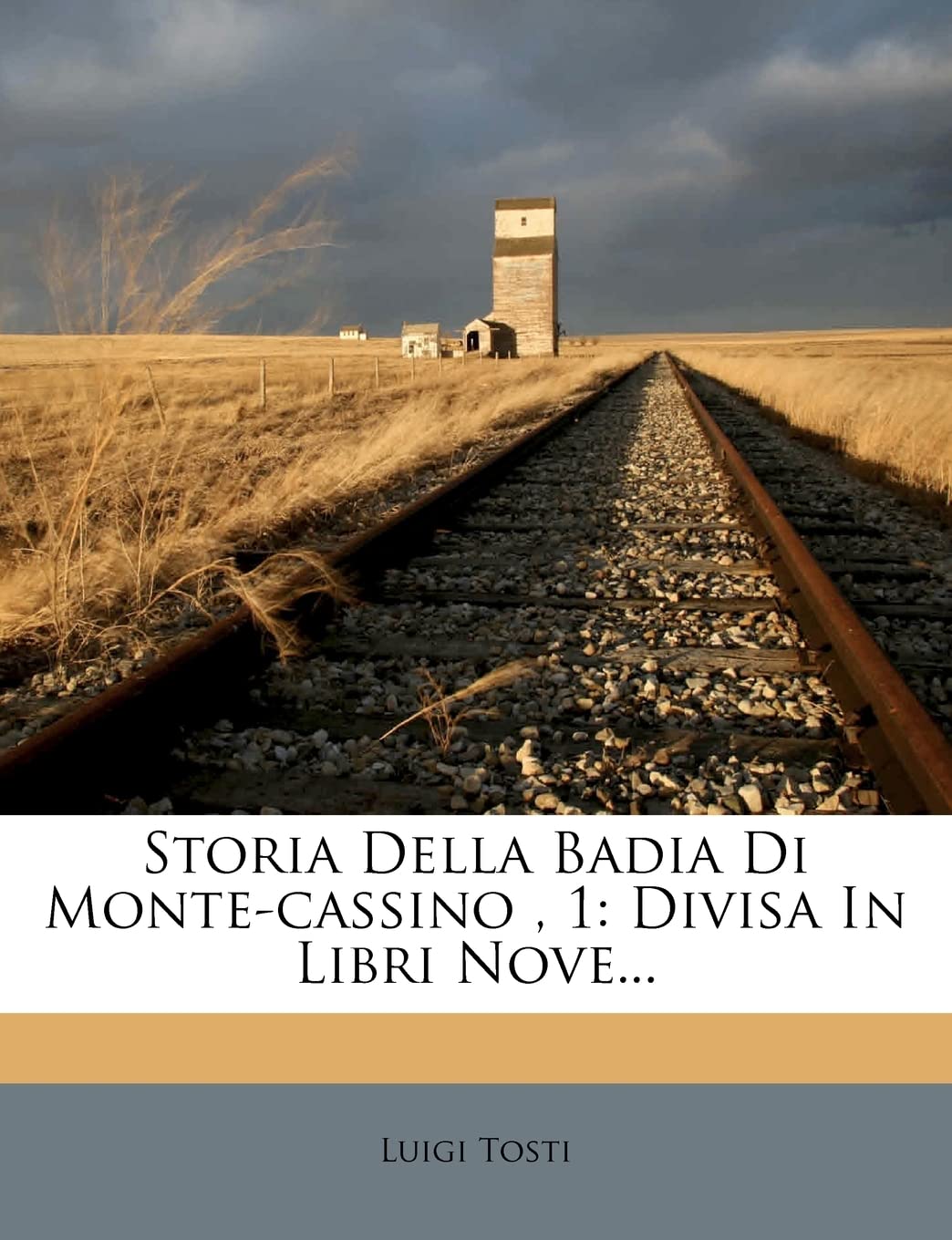 Storia Della Badia Di Monte-Cassino, 1: Divisa in Libri Nove... Contemporary literature