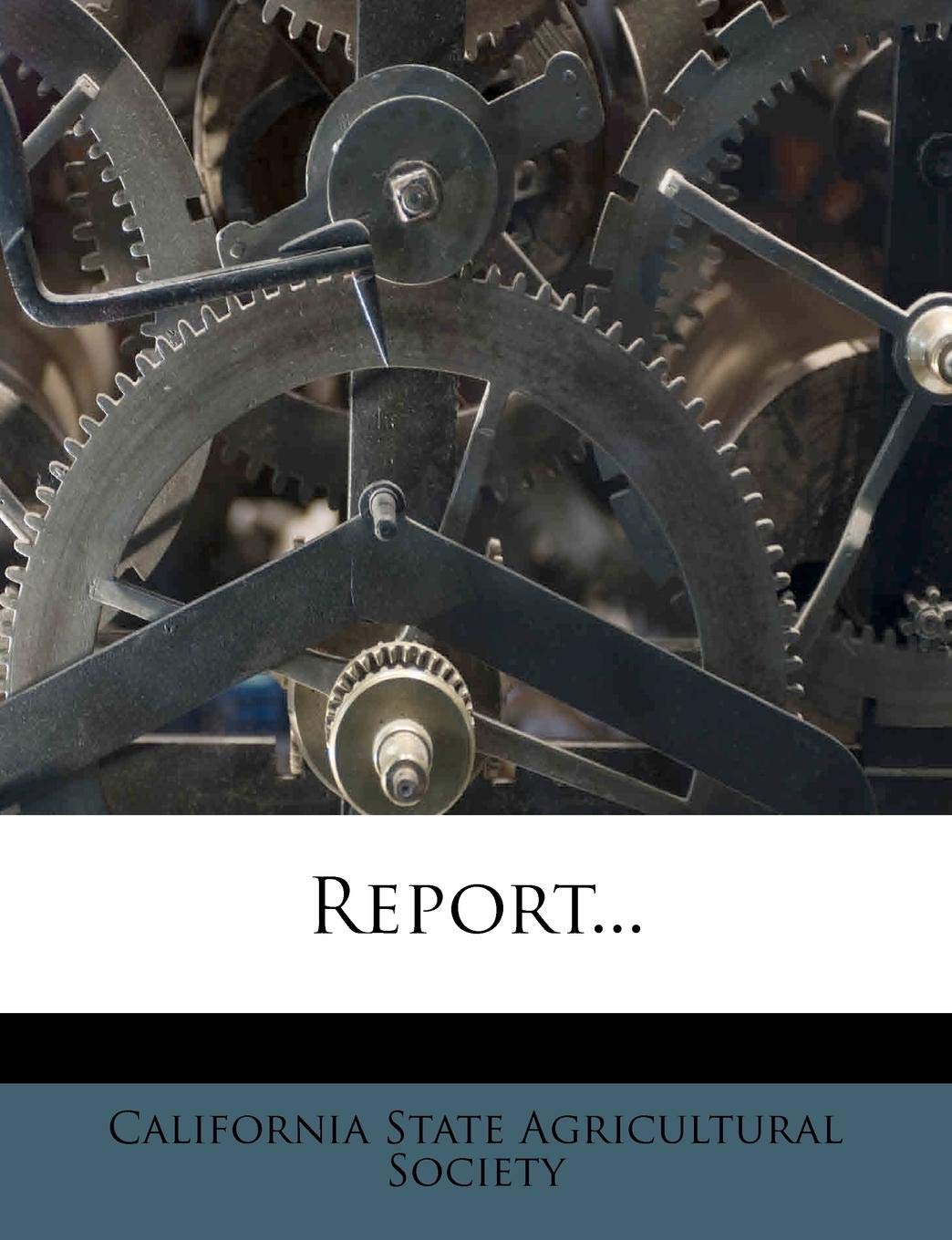 Report... Politics & History