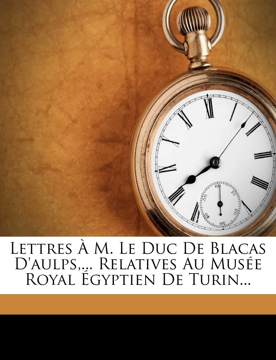 Lettres À M. Le Duc de Blacas d'Aulps, ... Relatives Au Musée Royal Égyptien de Turin... book