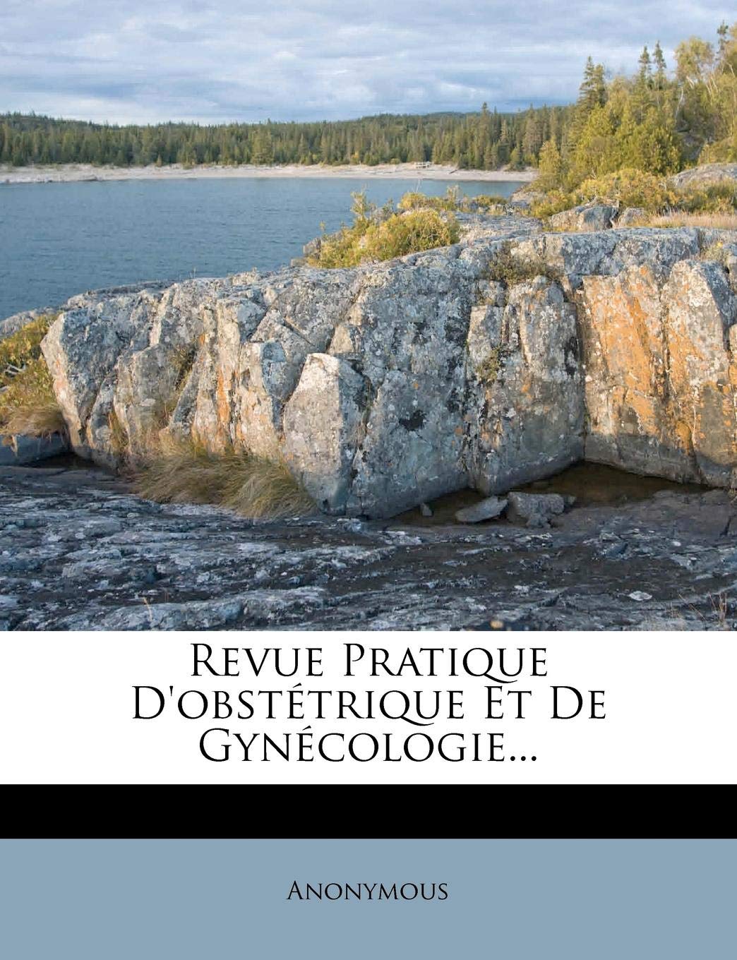 Revue Pratique D'obstétrique Et De Gynécologie... book