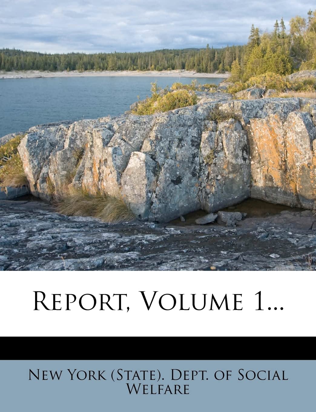 Report, Volume 1... Politics & History