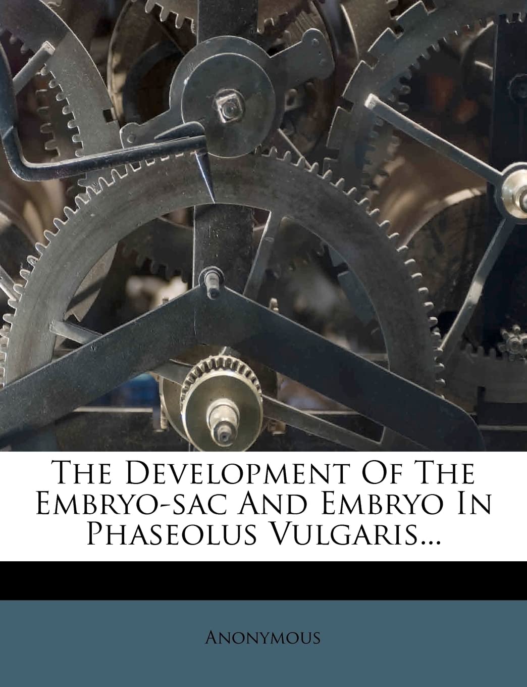 The Development of the Embryo-Sac and Embryo in Phaseolus Vulgaris... Politics & History