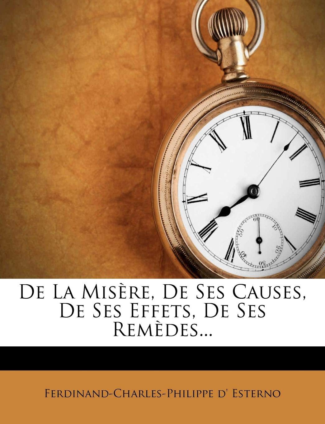 De La Misère, De Ses Causes, De Ses Effets, De Ses Remèdes... Business, Finance & Career