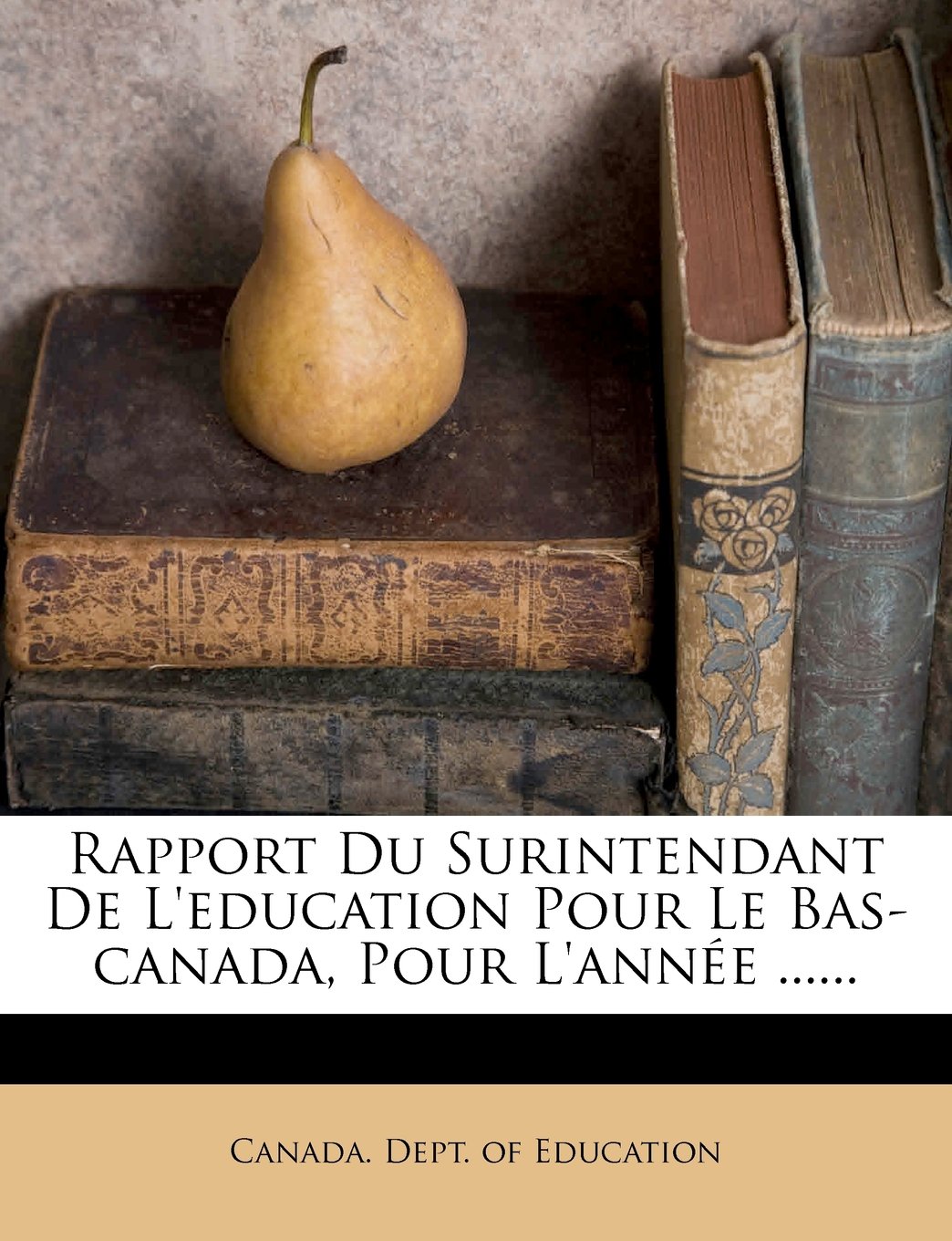 Rapport Du Surintendant de l'Education Pour Le Bas-Canada, Pour l'Année ...... Politics & History