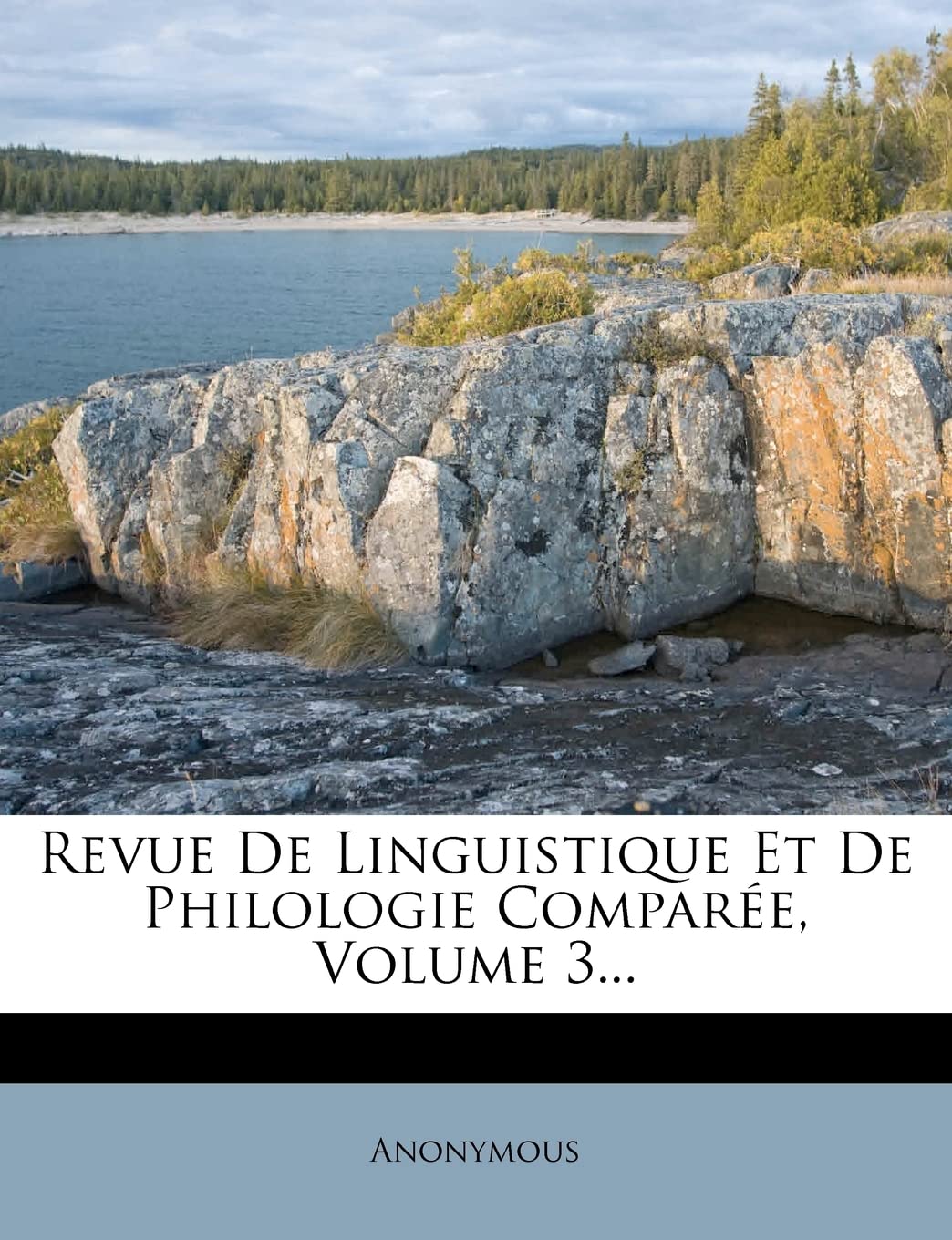 Revue De Linguistique Et De Philologie Comparée, Volume 3... book