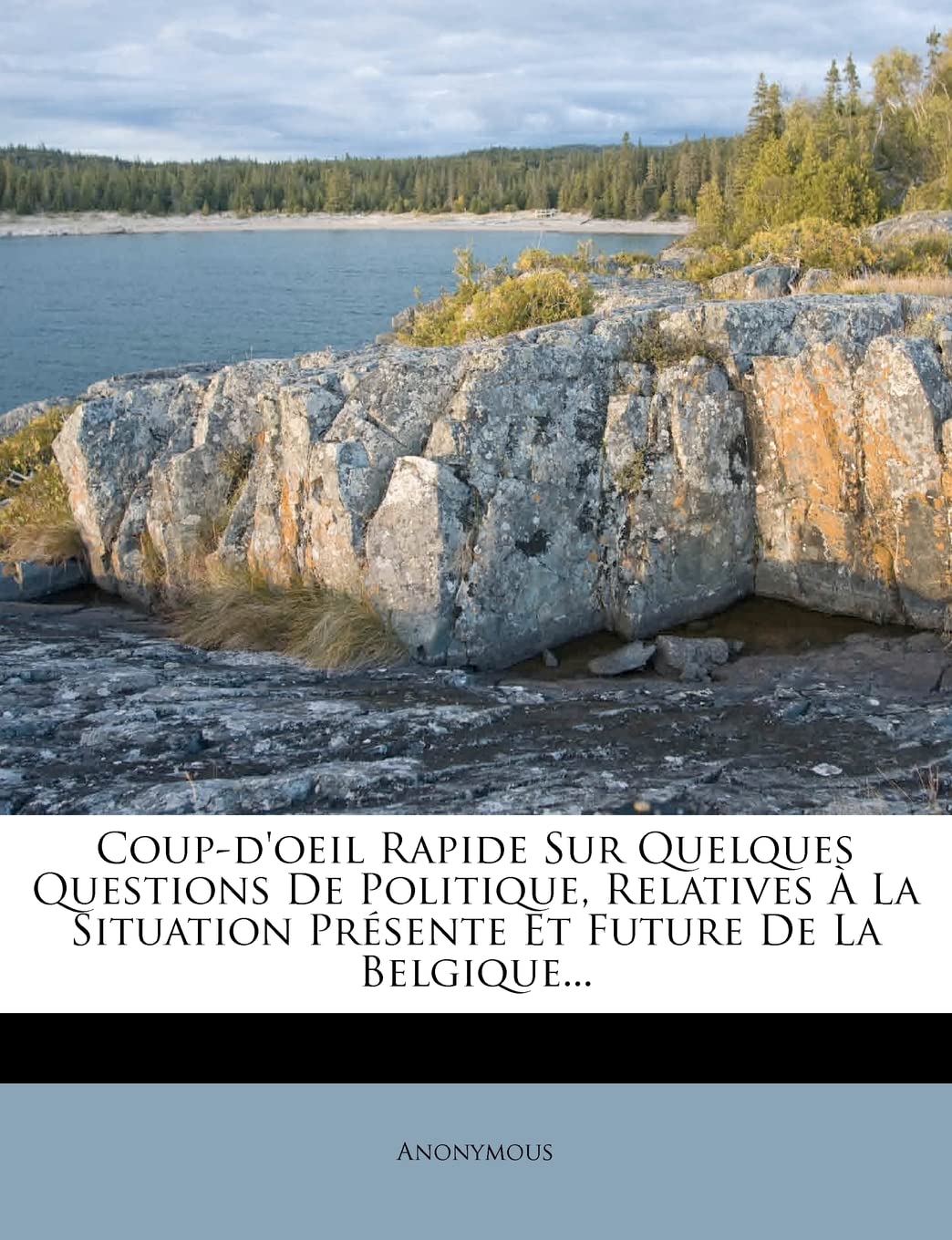 Coup-d'Oeil Rapide Sur Quelques Questions de Politique, Relatives À La Situation Présente Et Future de la Belgique... book