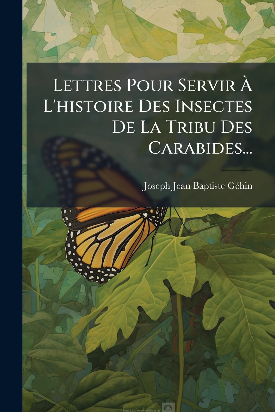 Lettres Pour Servir À l'Histoire Des Insectes de la Tribu Des Carabides... book