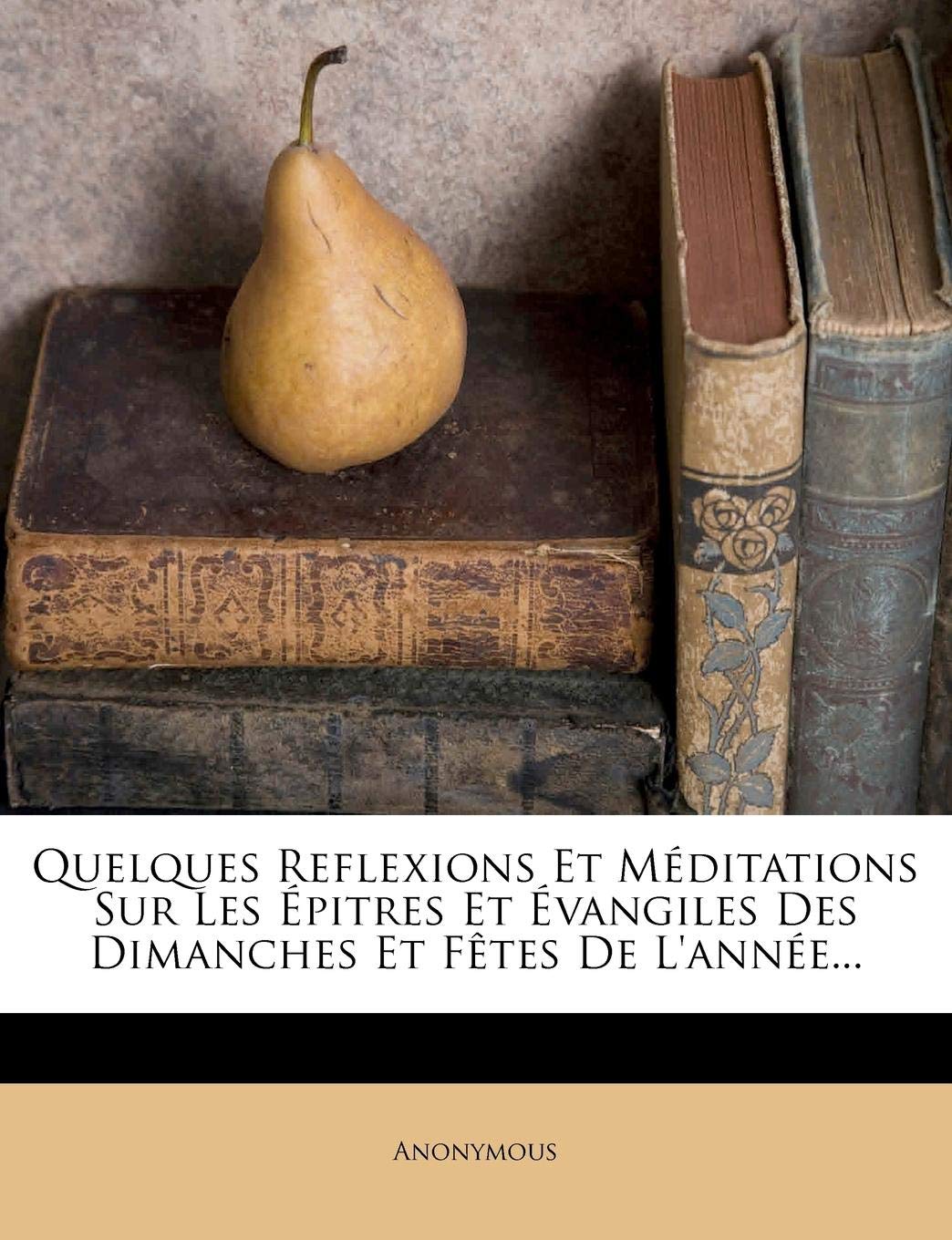 Quelques Reflexions Et Meditations Sur Les Pitres Et Vangiles Des Dimanches Et F Tes de L'Ann E... book