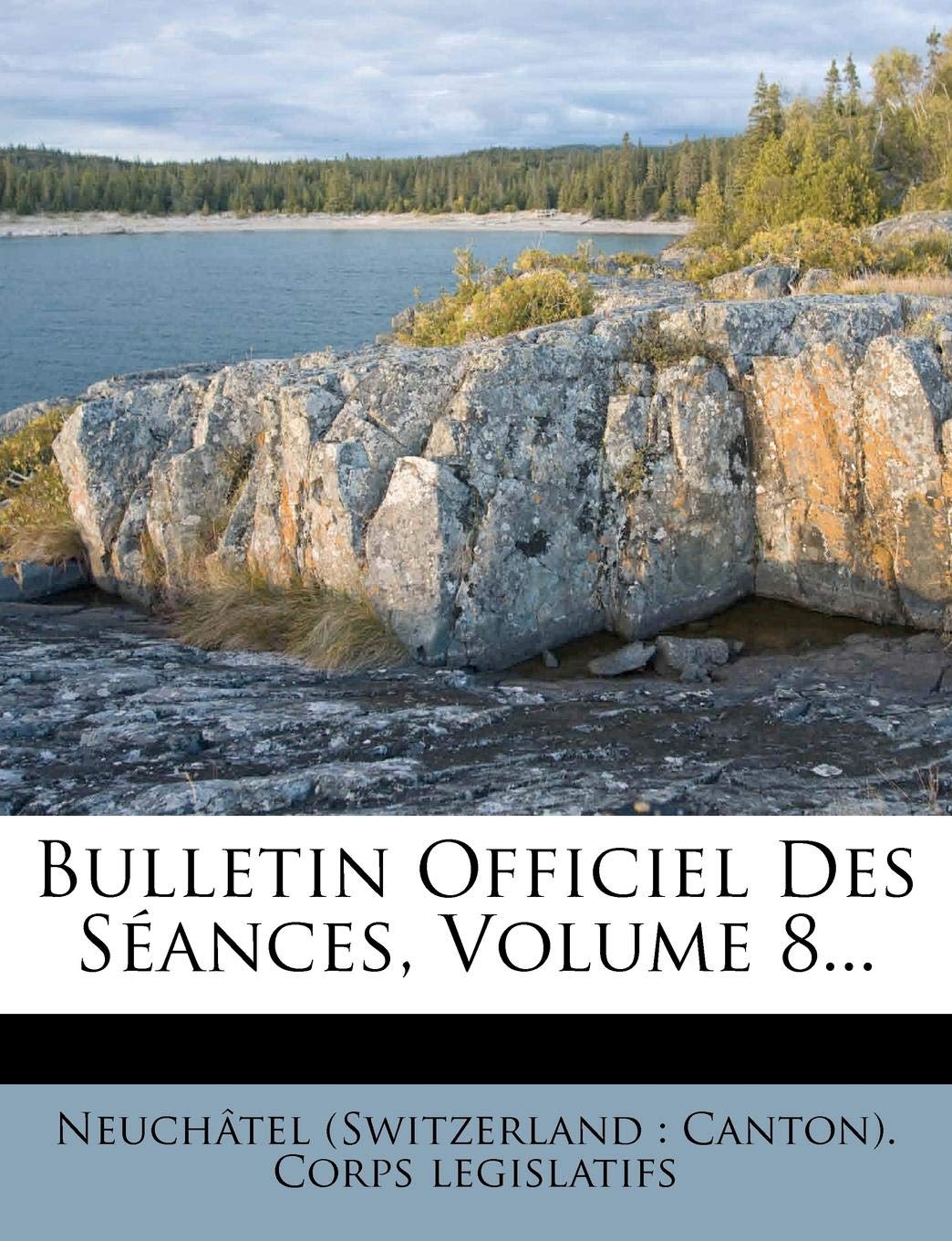 Bulletin Officiel Des Seances, Volume 8... book