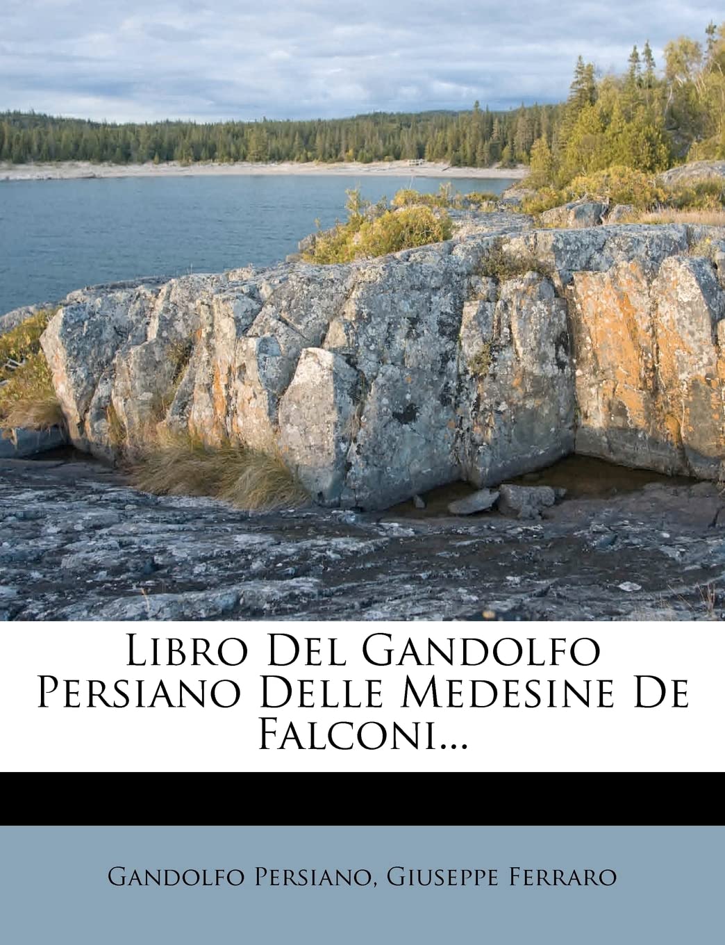 Libro del Gandolfo Persiano Delle Medesine de Falconi... Politics & History