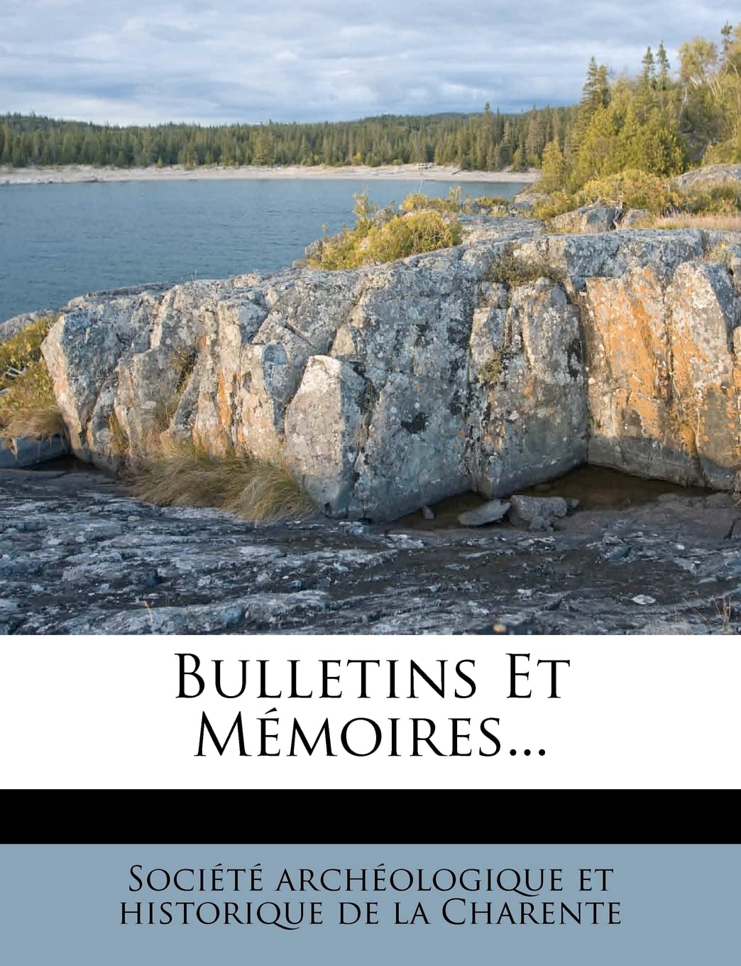 Bulletins Et Mémoires... Politics & History