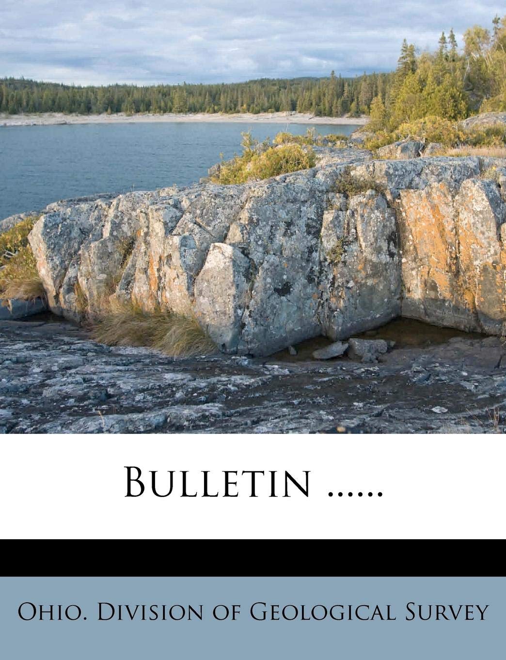 Bulletin ...... Politics & History