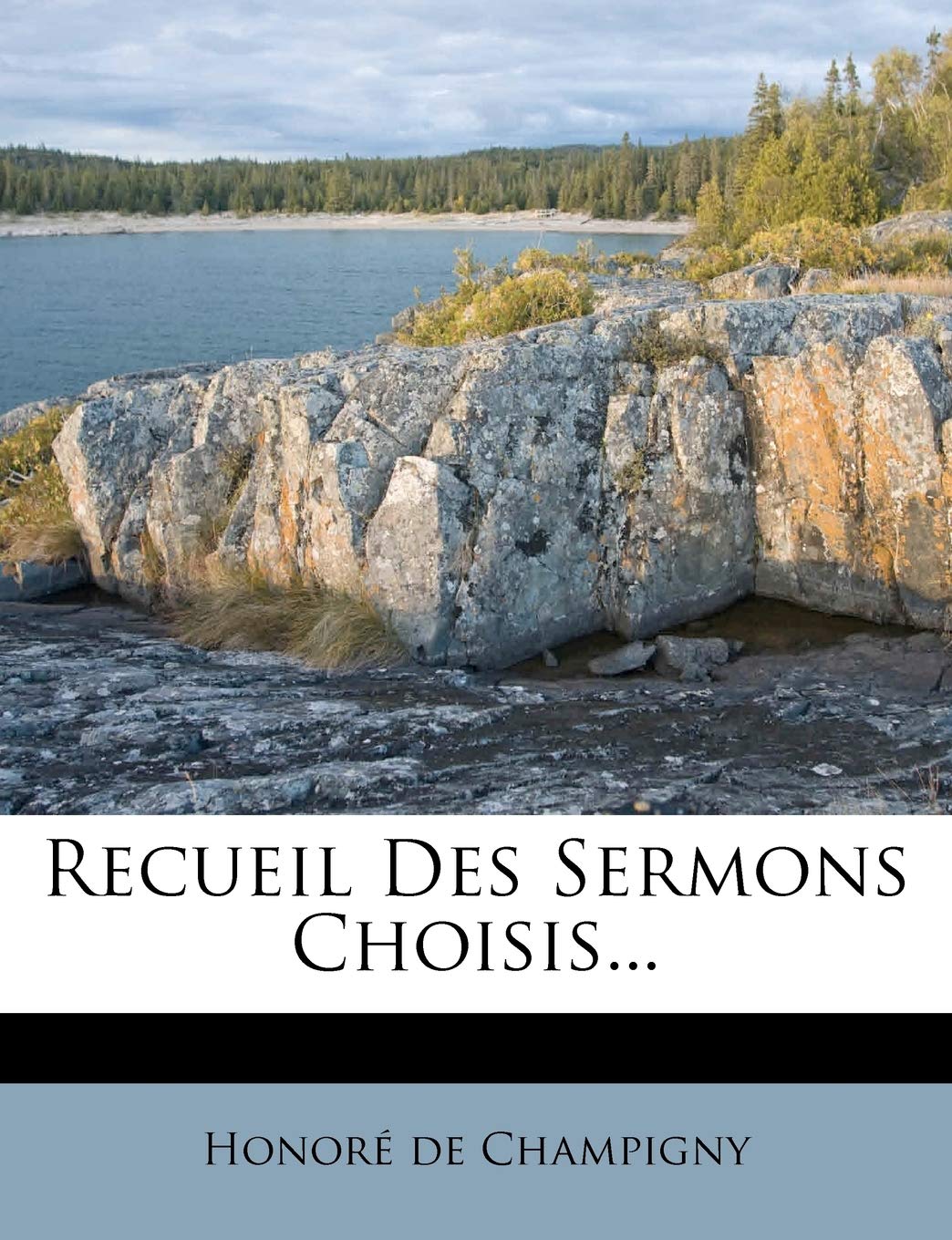 Recueil Des Sermons Choisis... Politics & History
