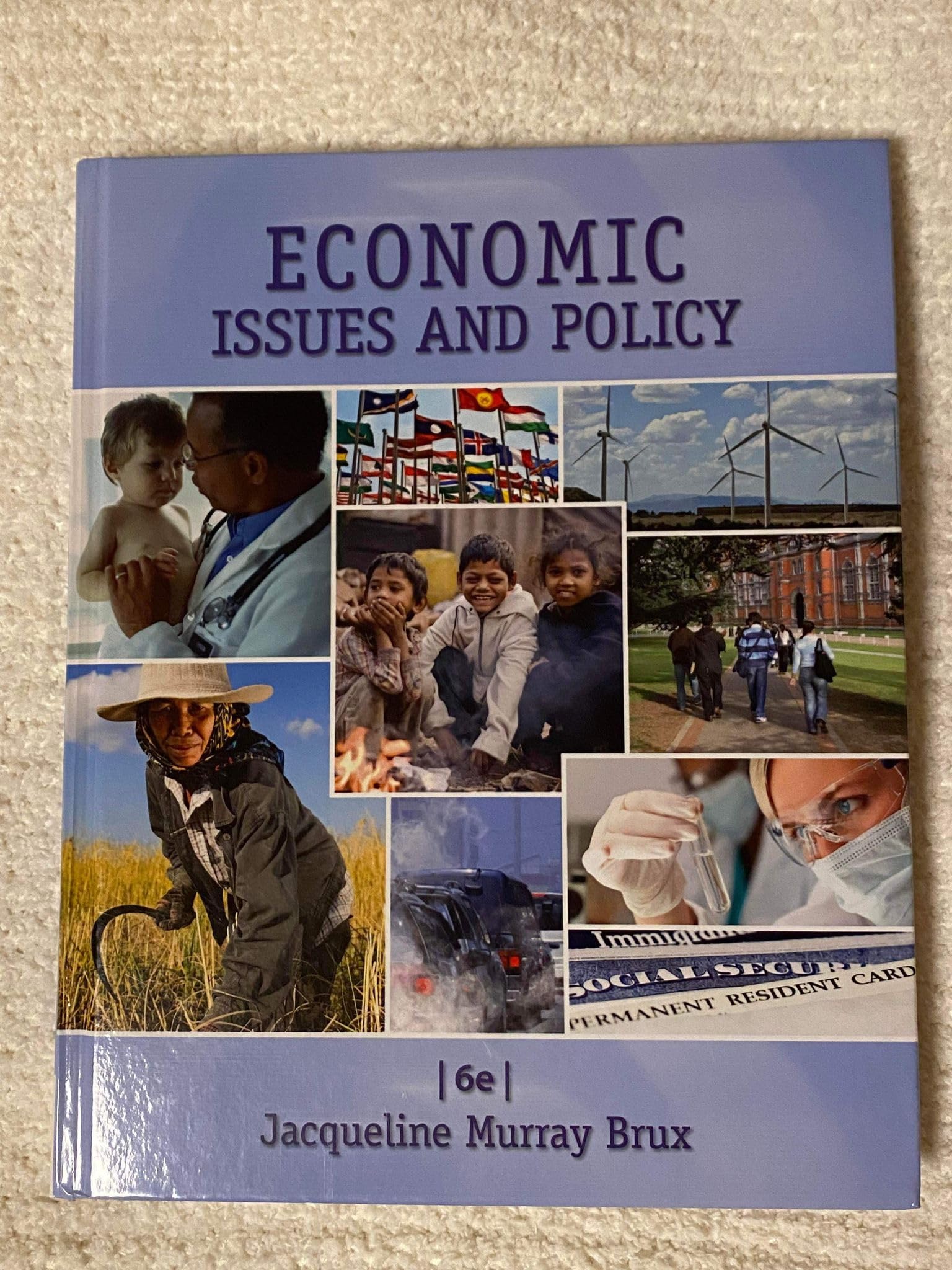 Economic Issues and Policy Business, Finance & Career