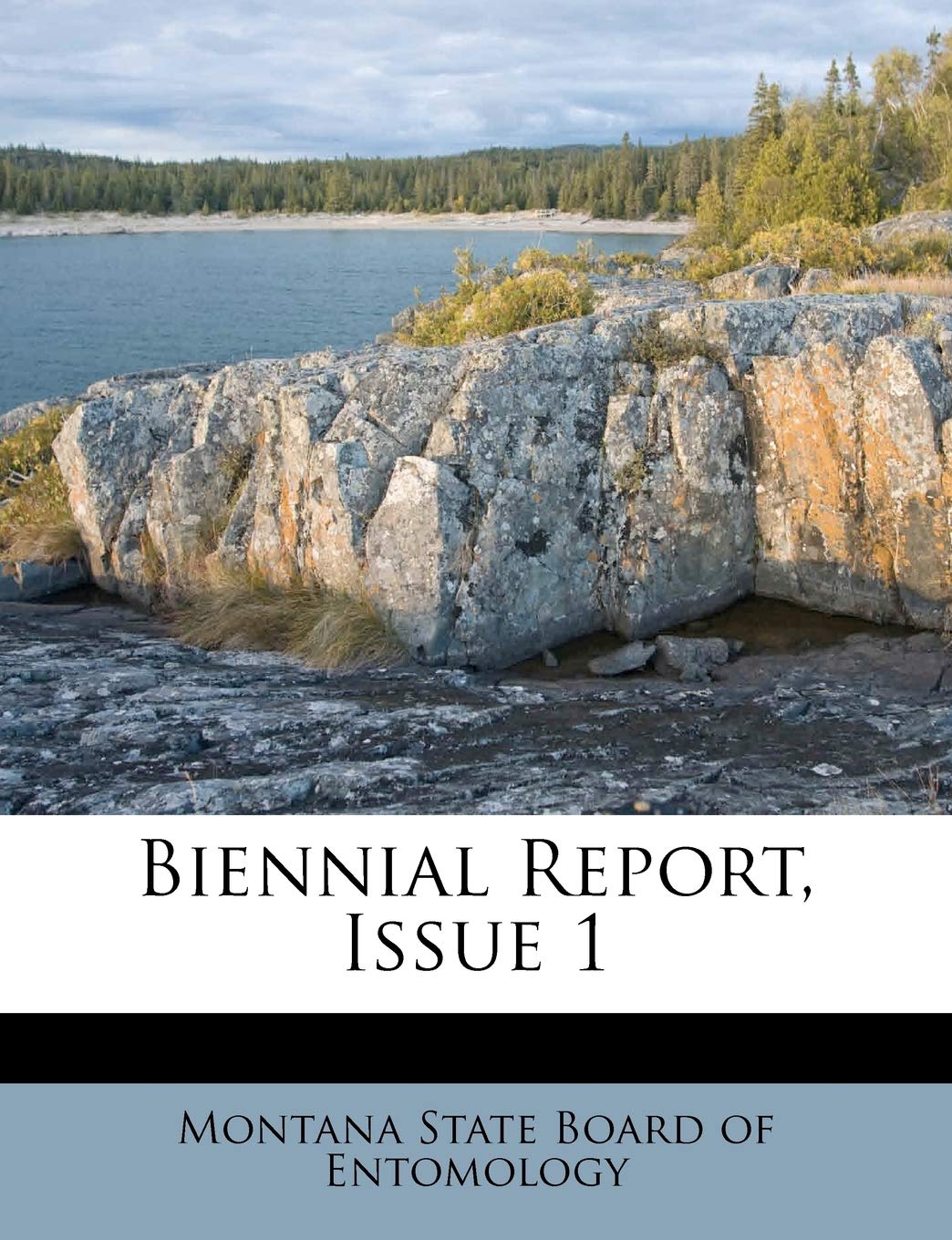 Biennial Report, Issue 1 Politics & History