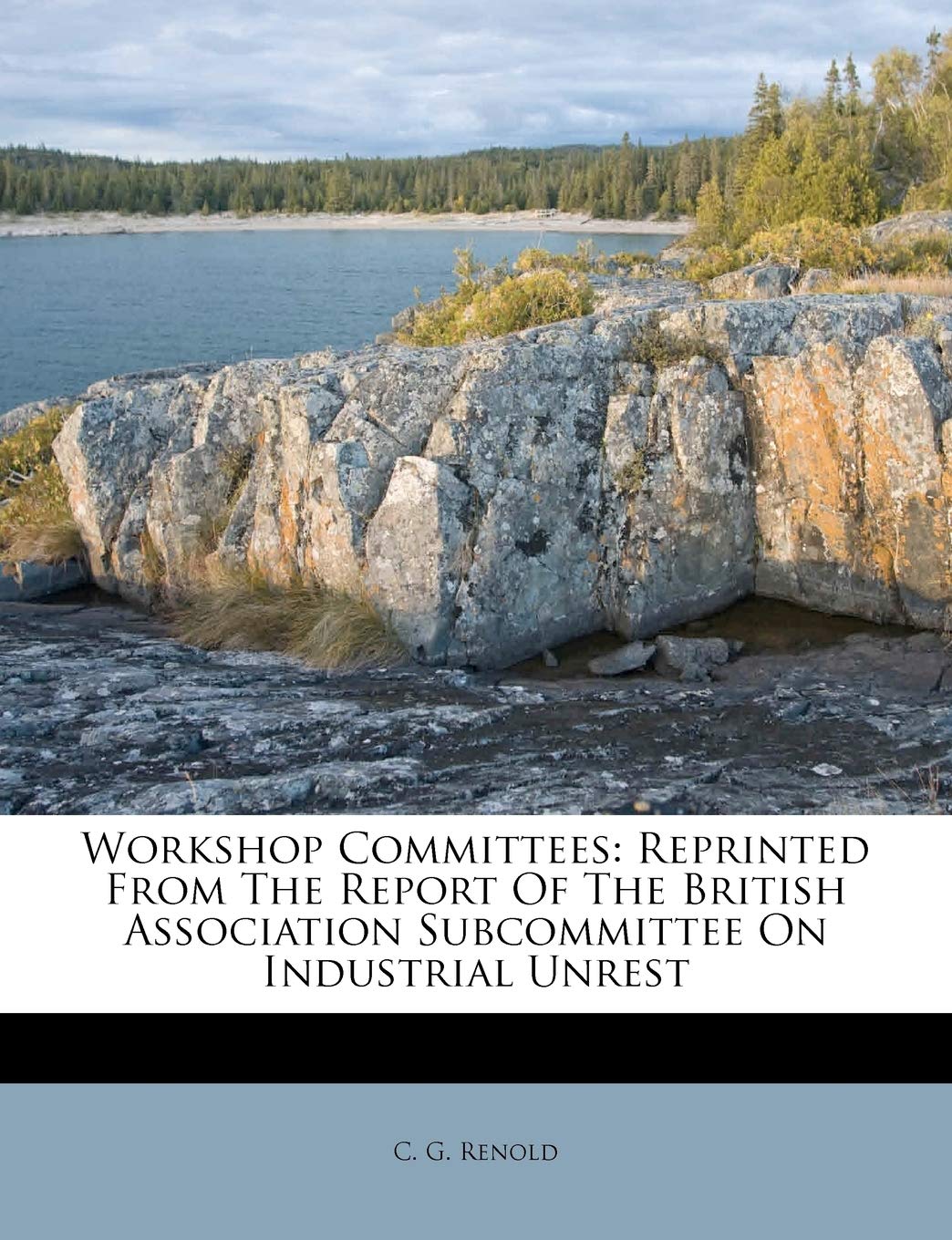 Workshop Committees: Reprinted from the Report of the British Association Subcommittee on Industrial Unrest Politics & History