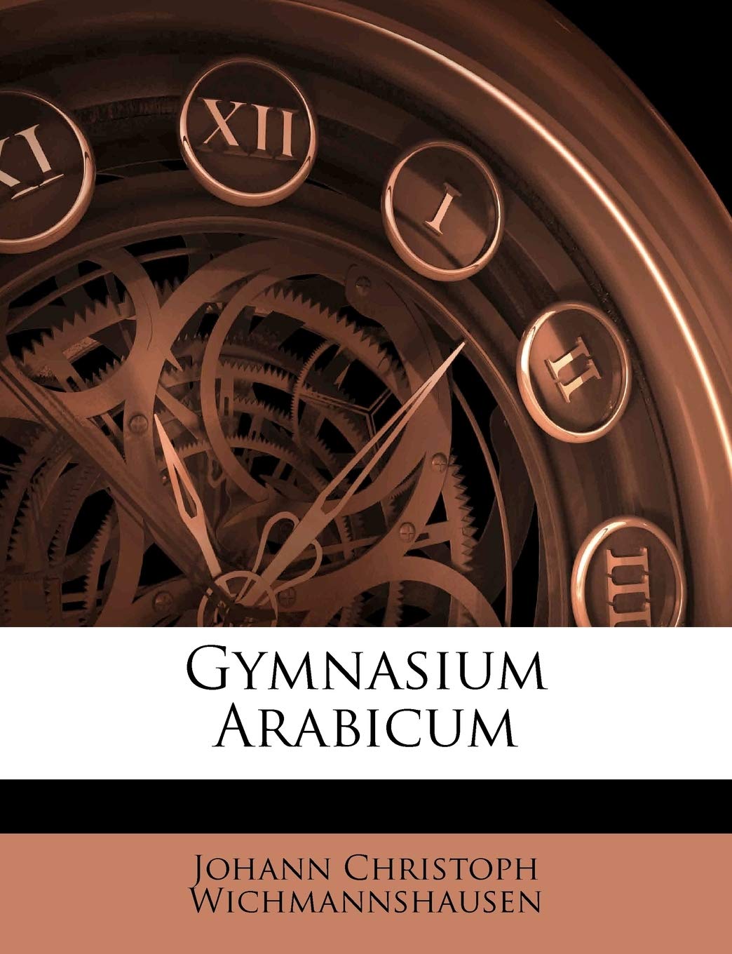 Gymnasium Arabicum Politics & History