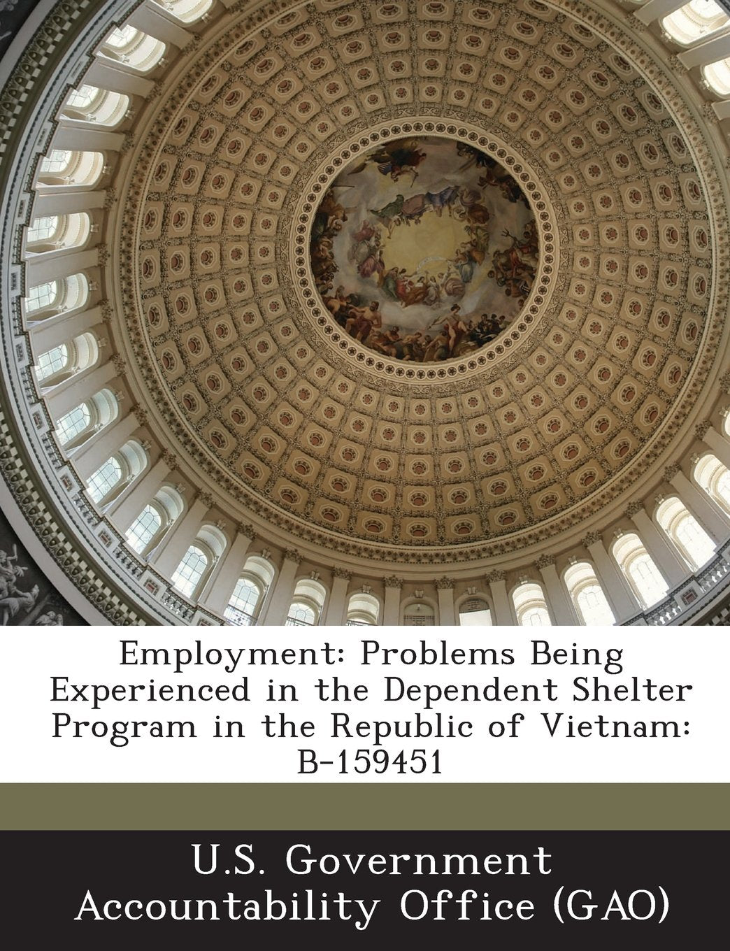 Employment: Problems Being Experienced in the Dependent Shelter Program in the Republic of Vietnam: B-159451 Politics & History