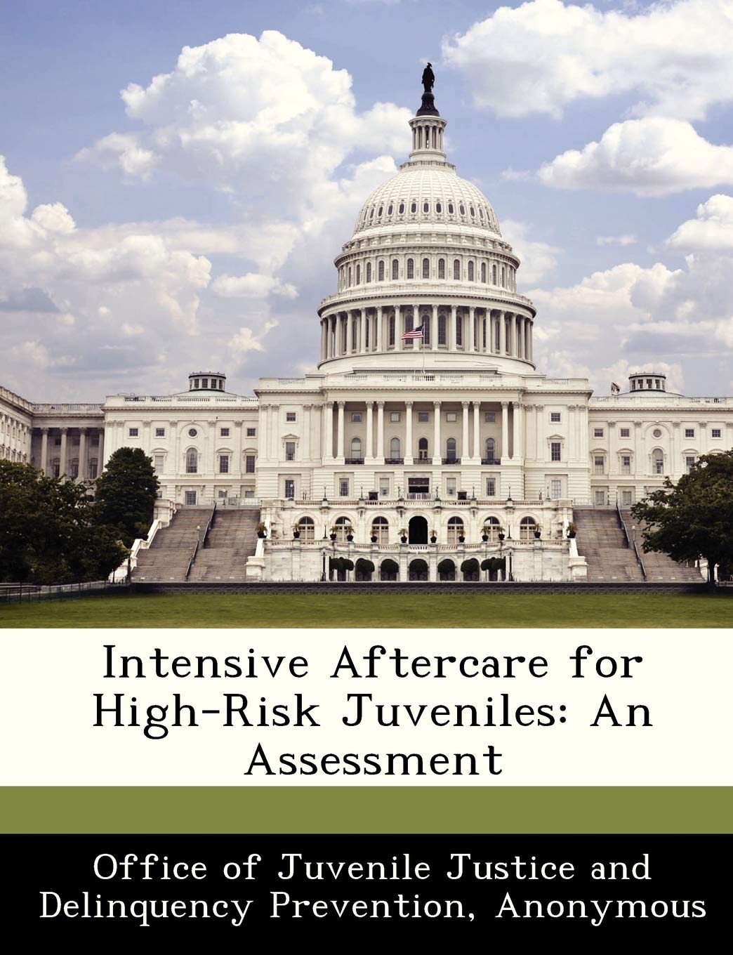 Intensive Aftercare for High-Risk Juveniles: An Assessment Politics & History