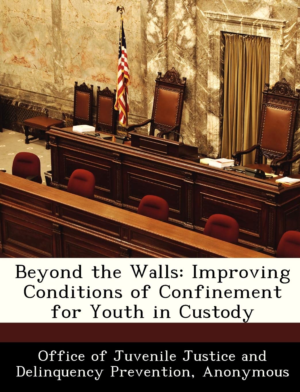 Beyond the Walls: Improving Conditions of Confinement for Youth in Custody Politics & History