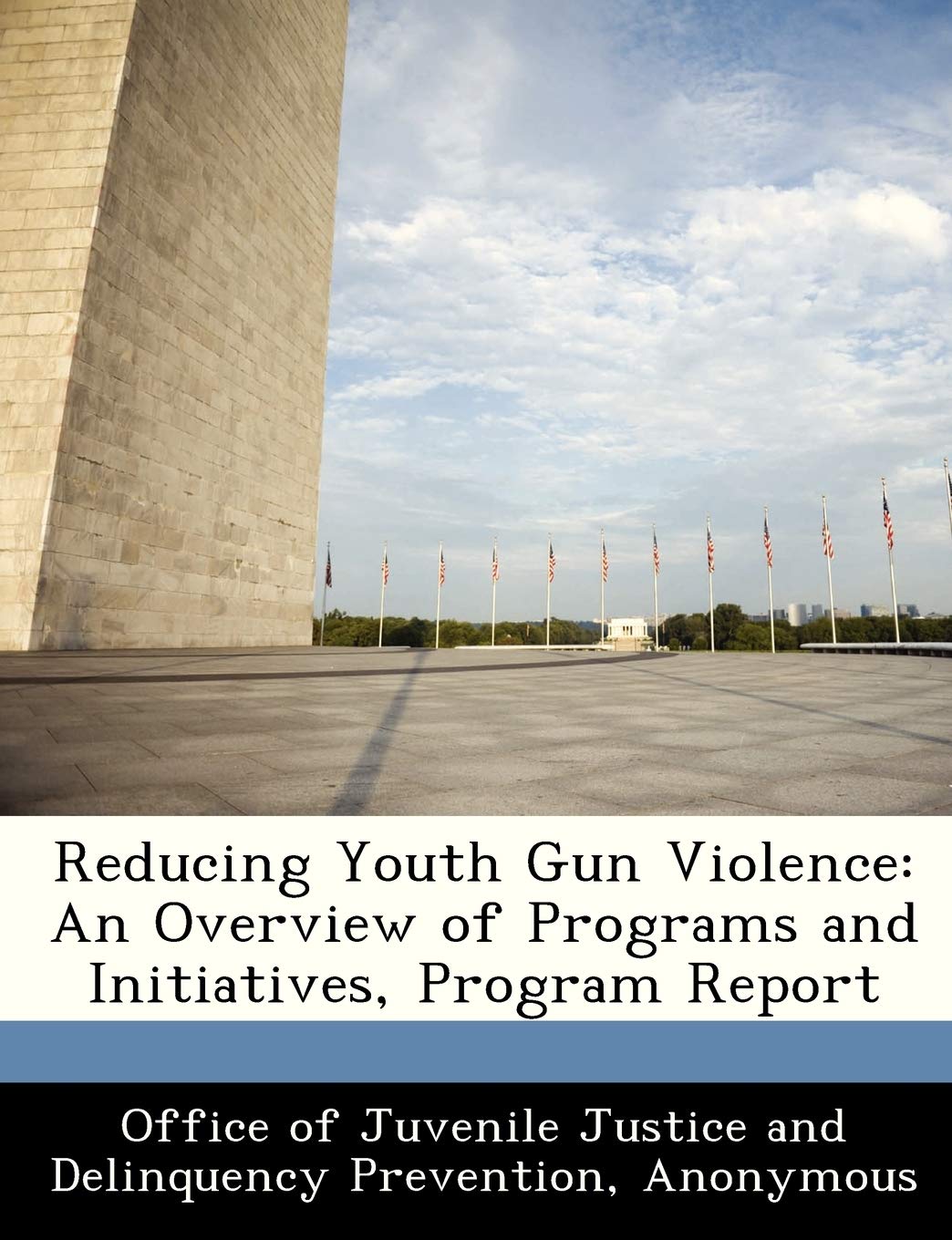 Reducing Youth Gun Violence: An Overview of Programs and Initiatives, Program Report Politics & History