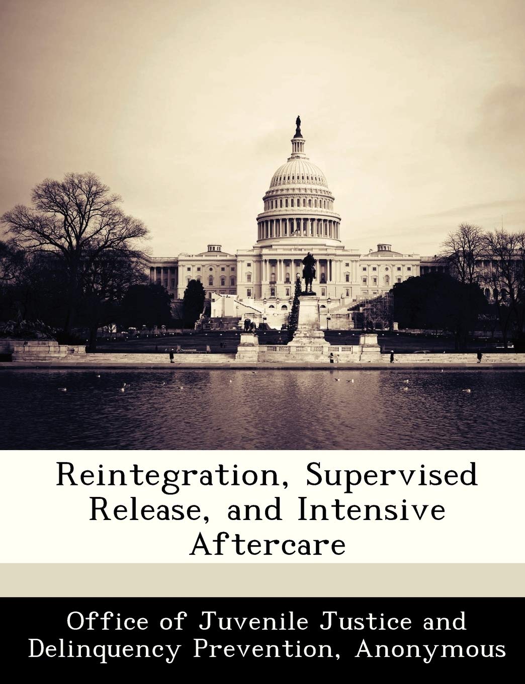 Reintegration, Supervised Release, and Intensive Aftercare Politics & History