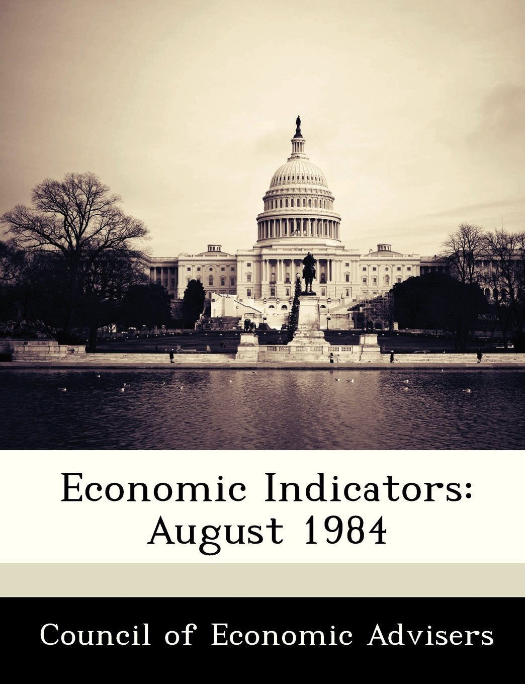 Economic Indicators: August 1984 Politics & History