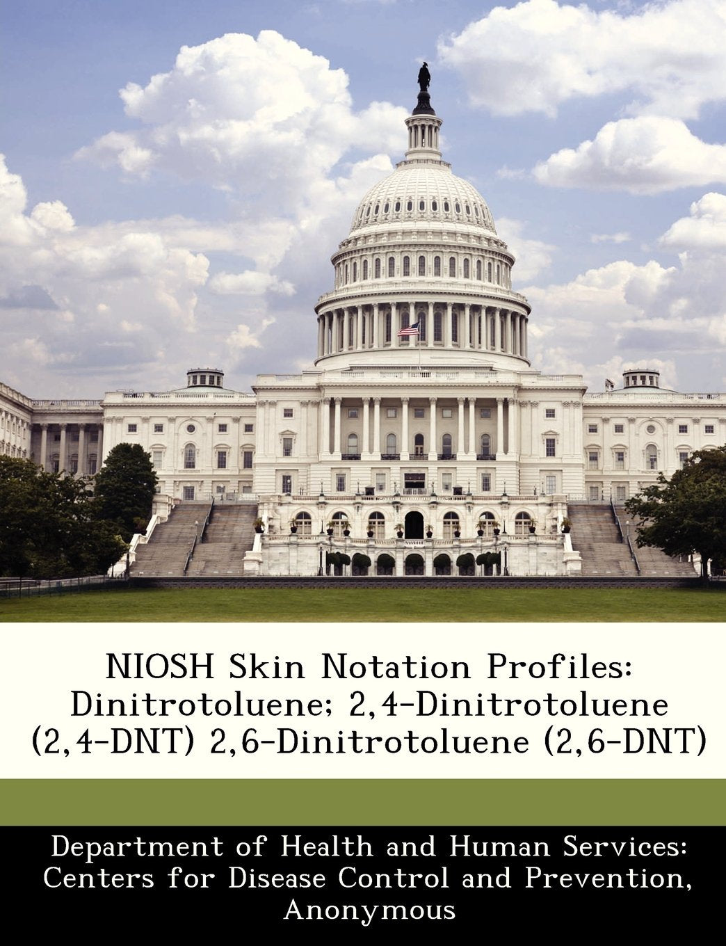 Niosh Skin Notation Profiles: Dinitrotoluene; 2,4-Dinitrotoluene (2,4-Dnt) 2,6-Dinitrotoluene (2,6-Dnt) Politics & History
