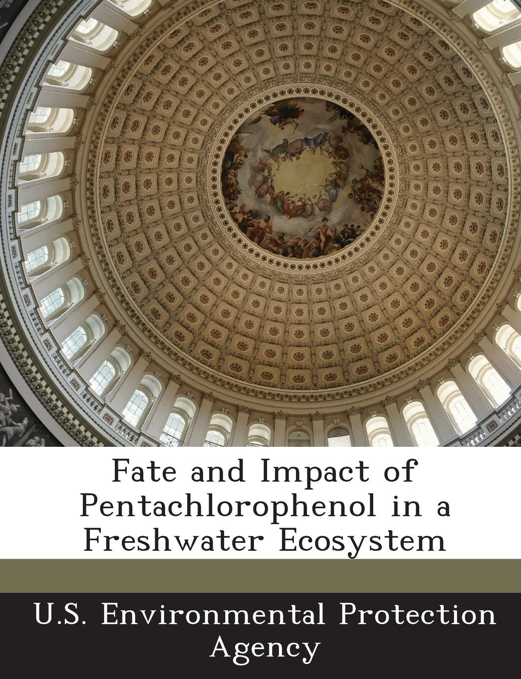 Fate and Impact of Pentachlorophenol in a Freshwater Ecosystem Politics & History