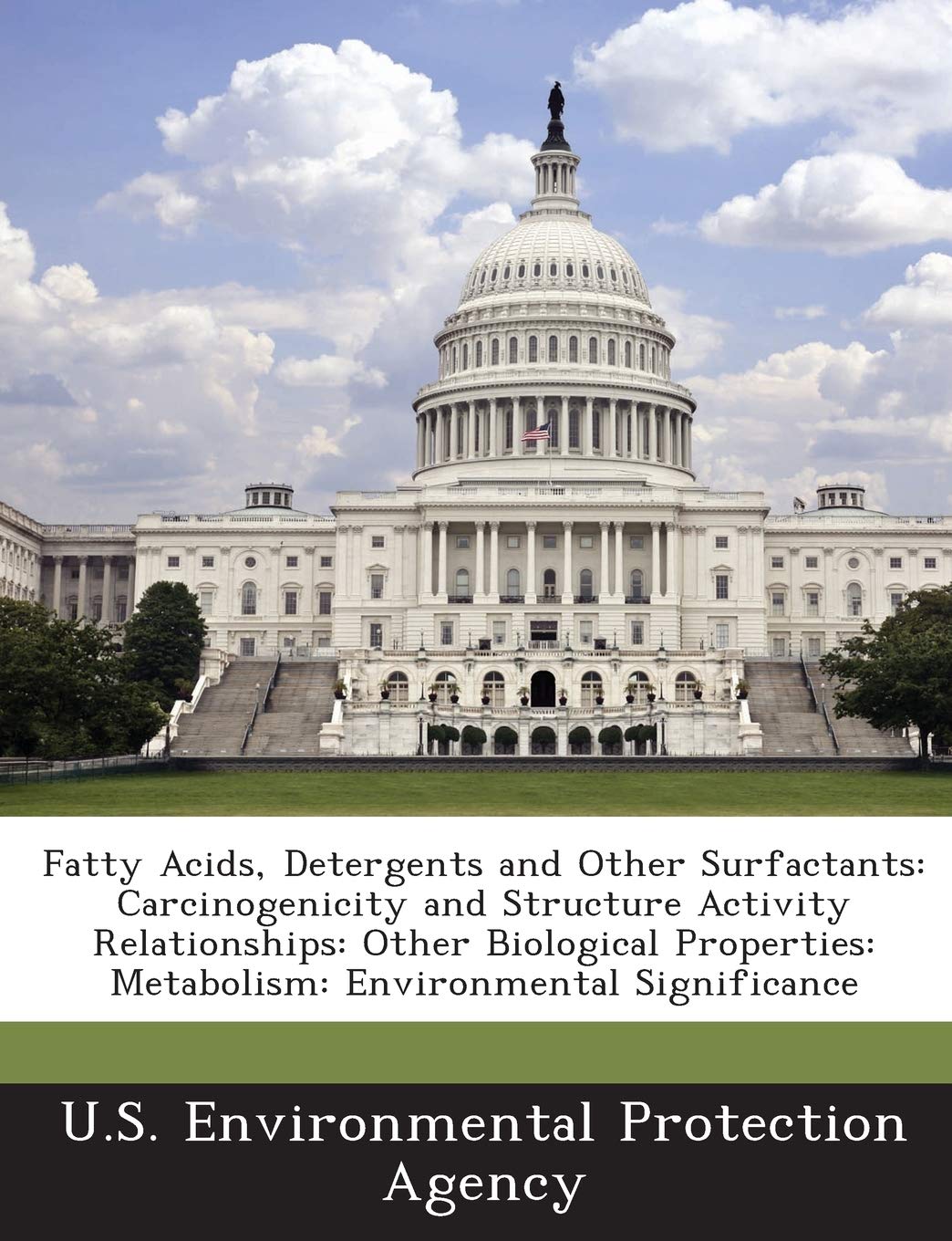 Fatty Acids, Detergents and Other Surfactants: Carcinogenicity and Structure Activity Relationships: Other Biological Properties: Metabolism: Environmental Significance Politics & History
